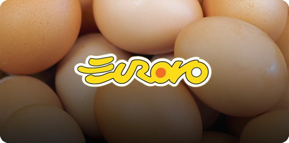 Banner con Logo eurovo