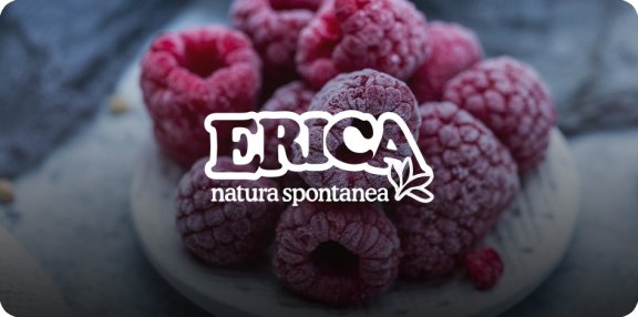 Erica surgelati Banner con Logo