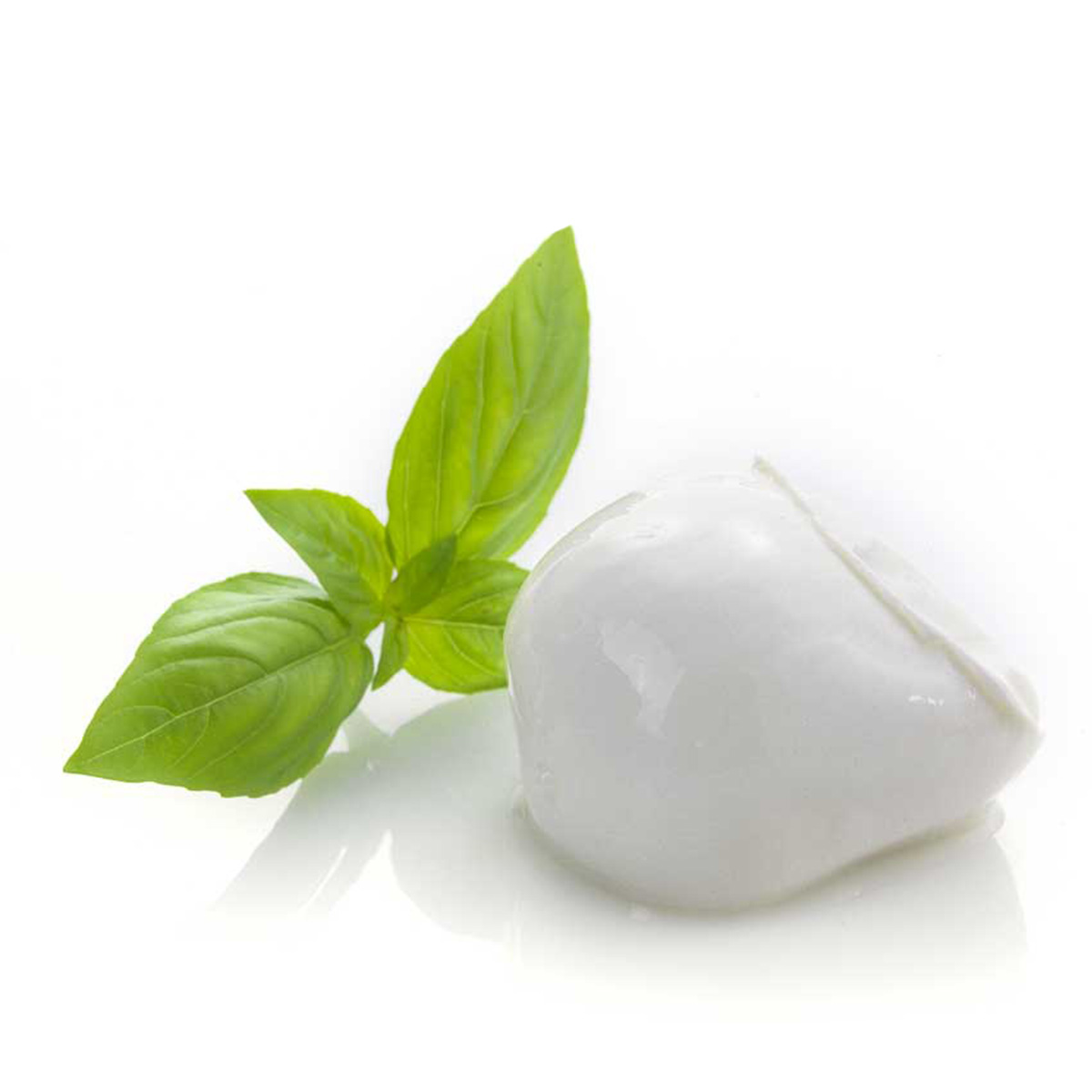 BOCCONCINI MOZZARELLA 10 x 100g