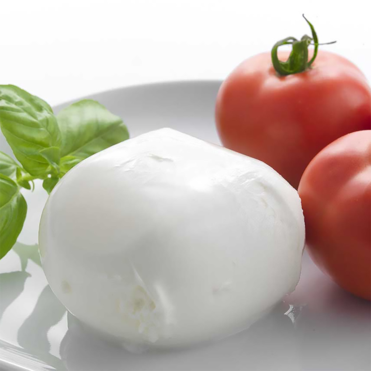 FIORITA MOZZARELLA 6 x 250g